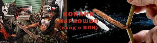 прущие грибы Кукмор