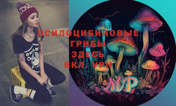 прущие грибы Кукмор