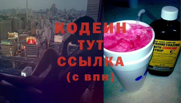 прущие грибы Кукмор
