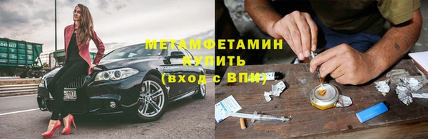 прущие грибы Кукмор