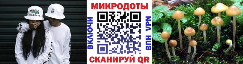 Галлюциногенные грибы GOLDEN TEACHER  Купить где  Александровск 