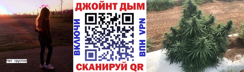 Купить закладки  Александровск  Каннабис OG Kush 